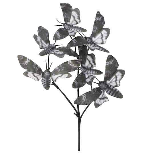 10" Grey Moth Pick by Ashland®